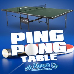 Ping Pong Table