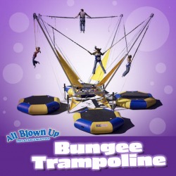 Bungee Trampoline