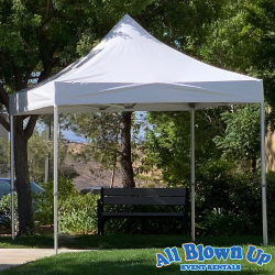 10' x 10' Frame Tent Canopy