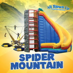 *G. Spider Climb & Bungee Trampoline