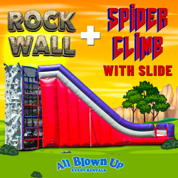 *1 Rock Wall, Spider Climb with Slide